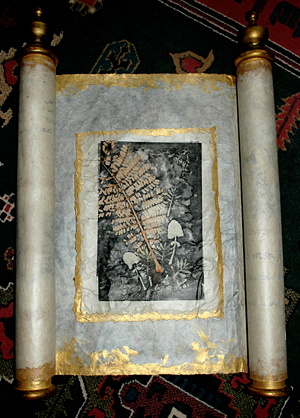 scrollfern